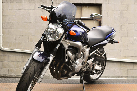 2005 Yamaha FZ6